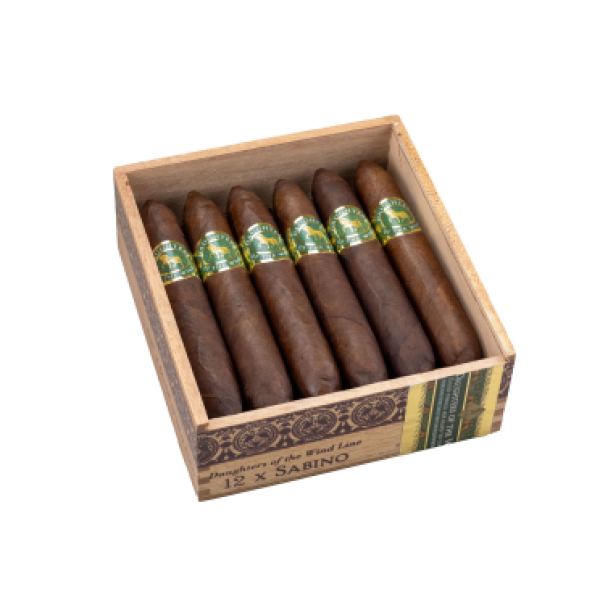 Casdagli Daughters of the Wind Sabino